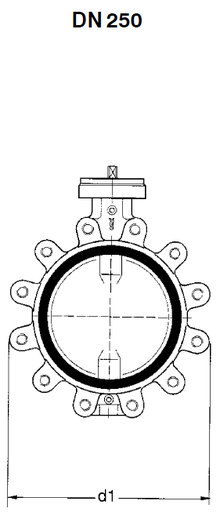 BOAX-SF PN10 DN250 T43g6gK MR25