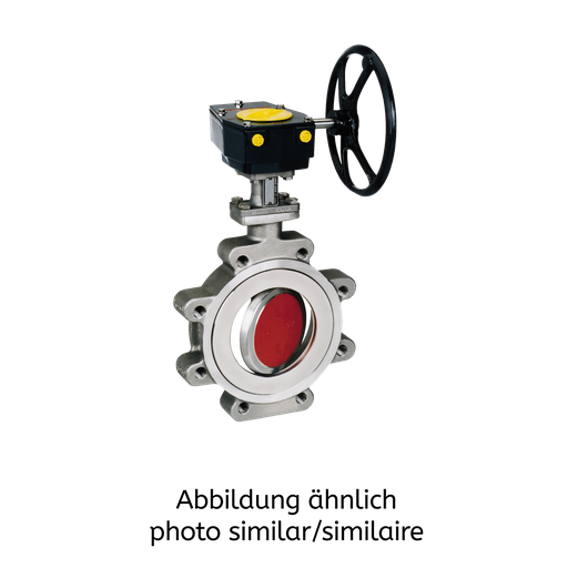 Danais MTII CL150 DN150 166Ni2B mit freiem Wellenende F07 DD19