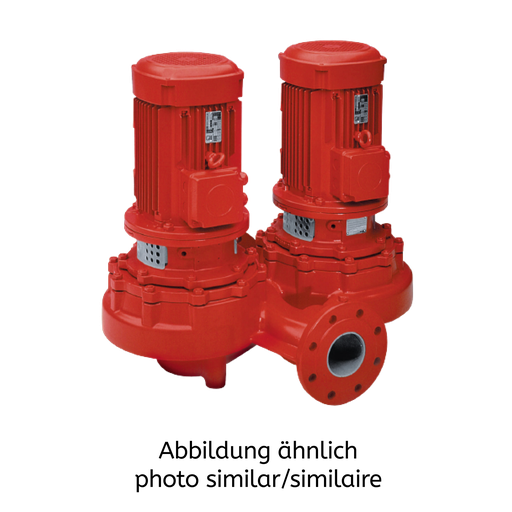 Etaline ETLZ 100-100-250 GGSAV11D300754  BKSBIE3 Pumpe inkomplett, nur 1x EBS