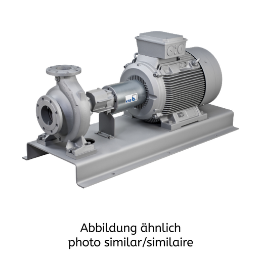 Etanorm ETNY100-080-160 SG DB08LA203702B, ohne Motor