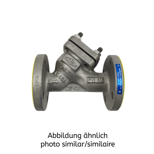 NORICHEM RYA PN10-40 DN25 1.4408 EVGI 29523336-ARI